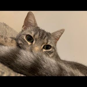 Meet your Posher, Alan